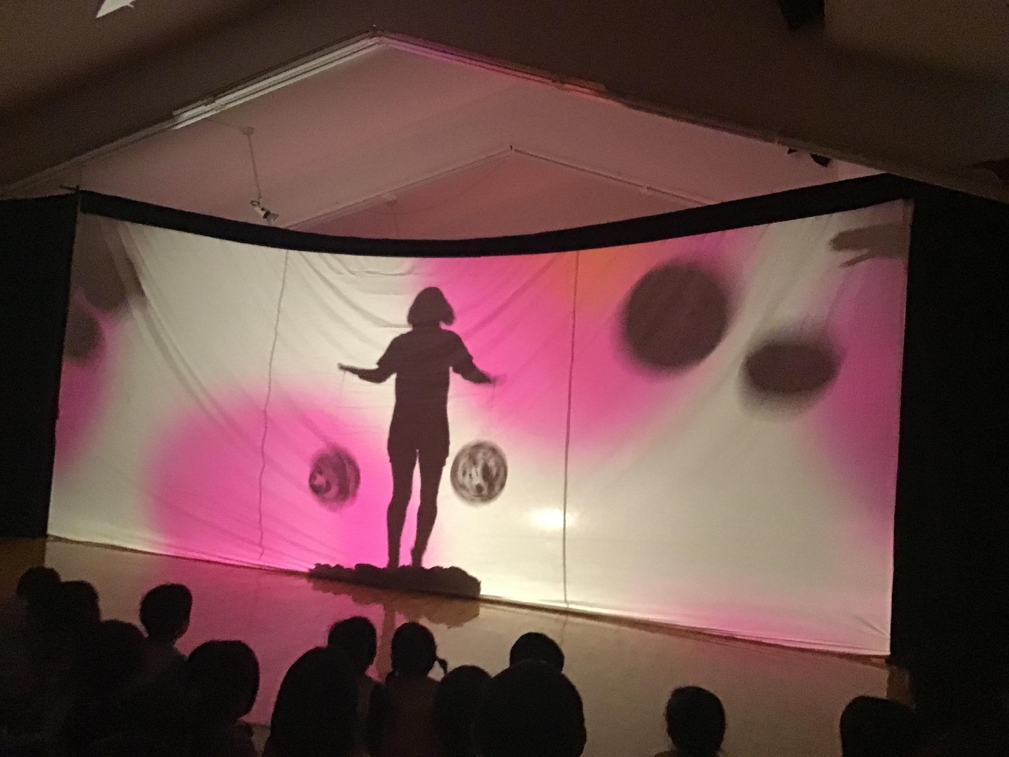 シャドゥシアターがありました✨