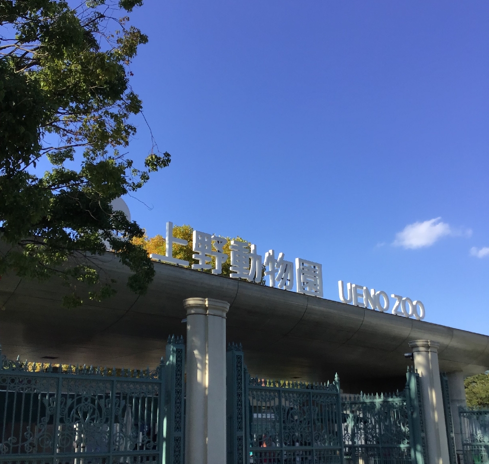 遠足で上野動物園に行ってきました！