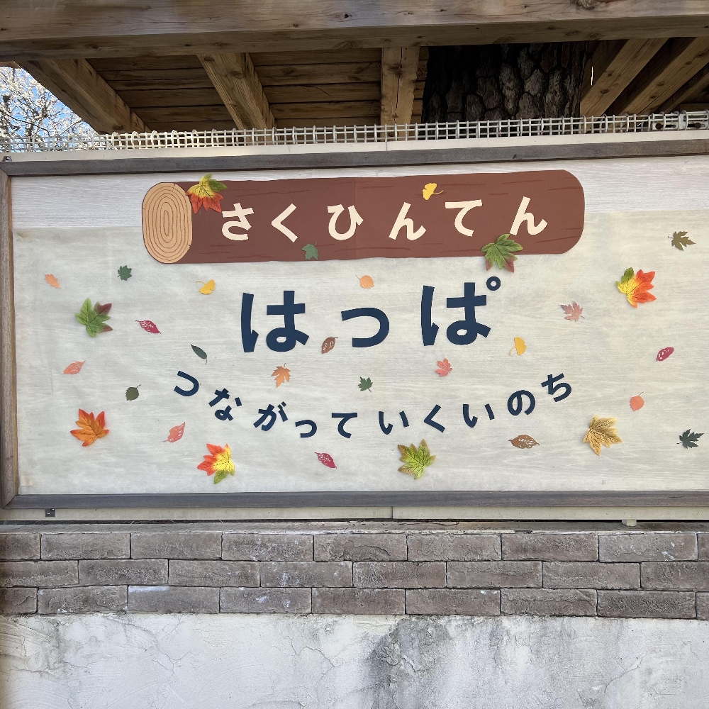 2024年度 作品展を行いました！